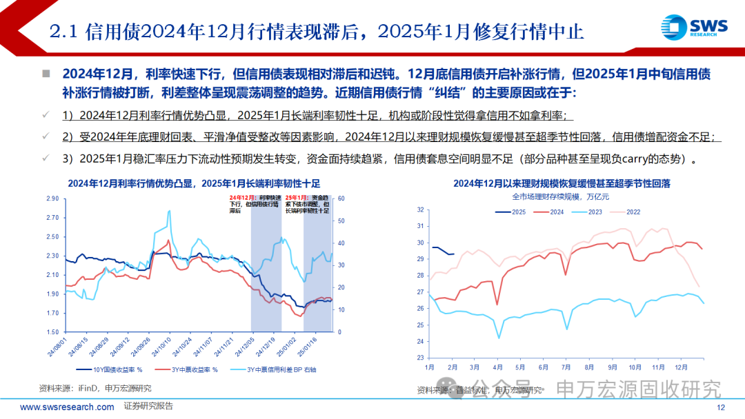 澳门王中王100期期准，全面释义、解释与落实展望