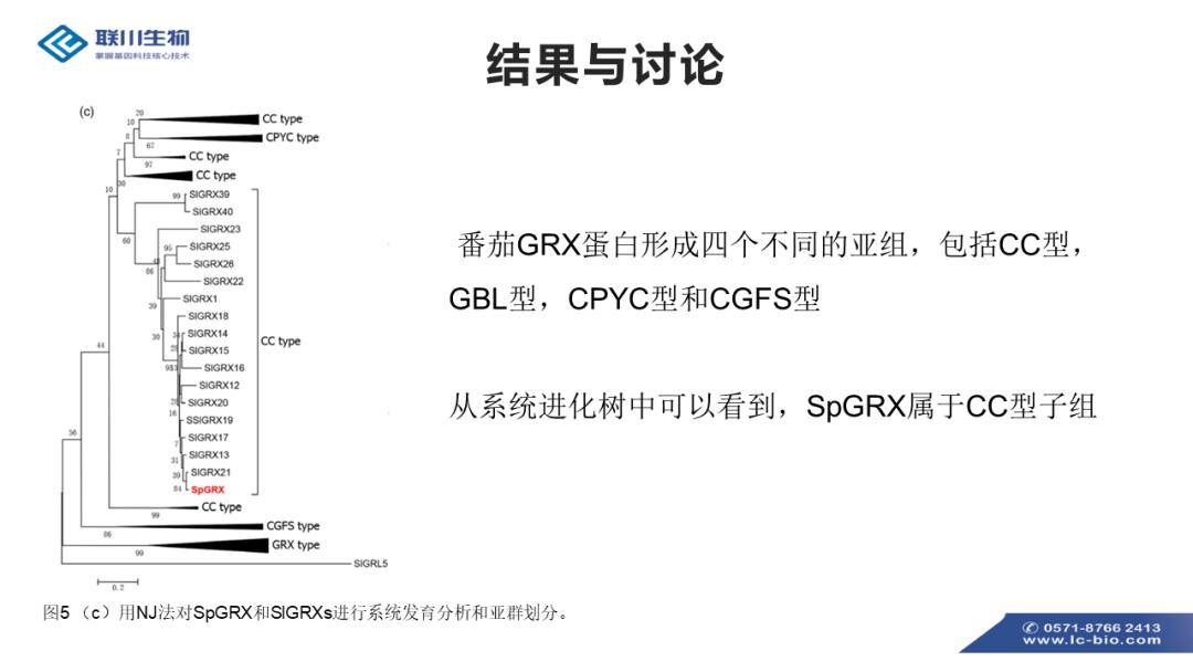 2025新奥资料免费精准051，功能介绍、全面释义与落实