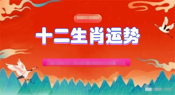 2025澳门资料正版大全一肖中特，全面释义与解释