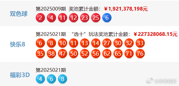 新澳门开奖号码2025年开奖结果，精准预测与未来展望