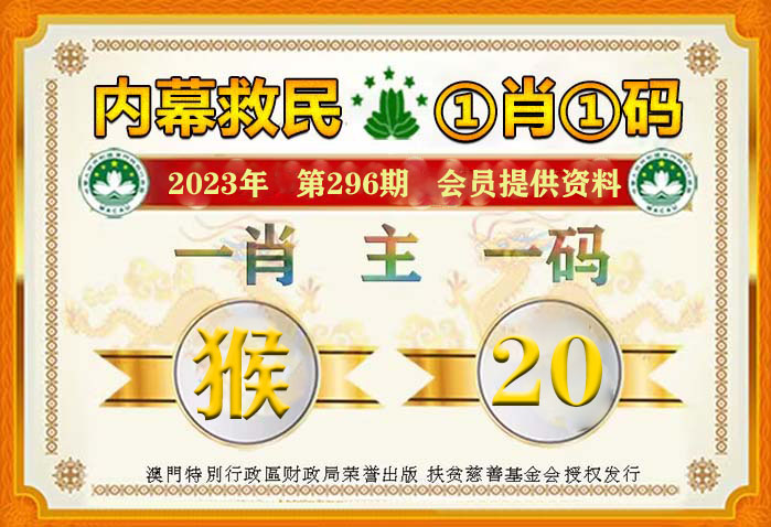 澳门一肖一码100%精准，全方位释义与落实策略