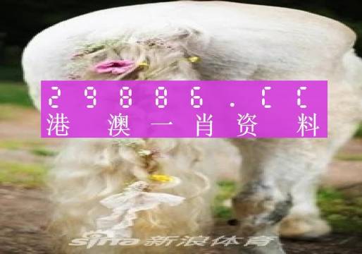 2025澳门资料正版大全一肖中特，精选解析与未来展望